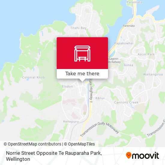 Norrie Street Opposite Te Rauparaha Park map