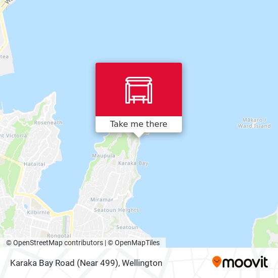 Karaka Bay Road (Near 499) map