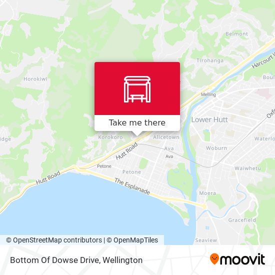 Bottom Of Dowse Drive map