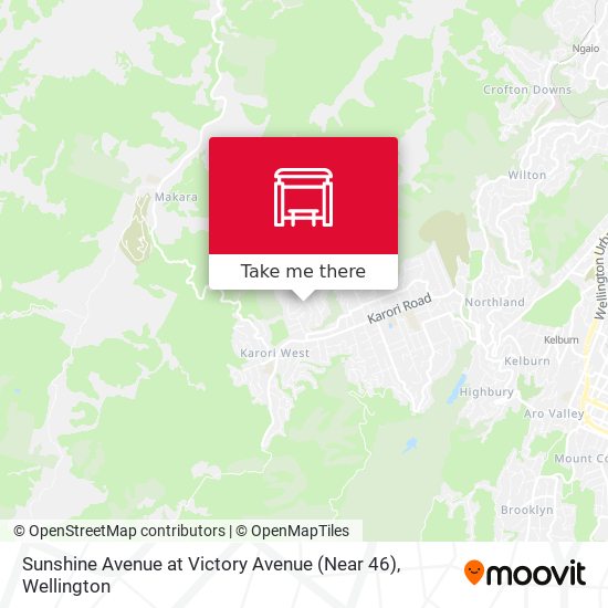 Sunshine Avenue at Victory Avenue (Near 46) map