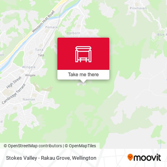 Stokes Valley - Rakau Grove map