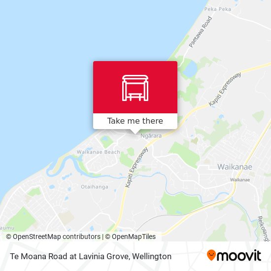 Te Moana Road at Lavinia Grove map