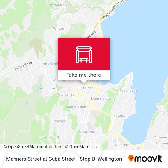 Manners Street at Cuba Street - Stop B地图