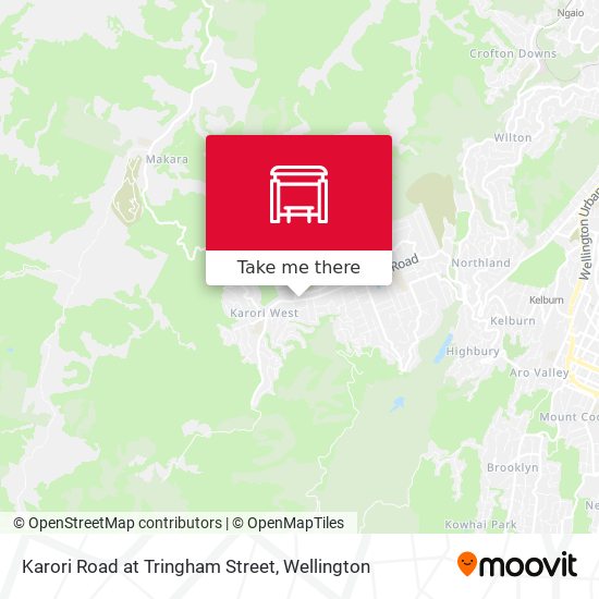 Karori Road at Tringham Street地图