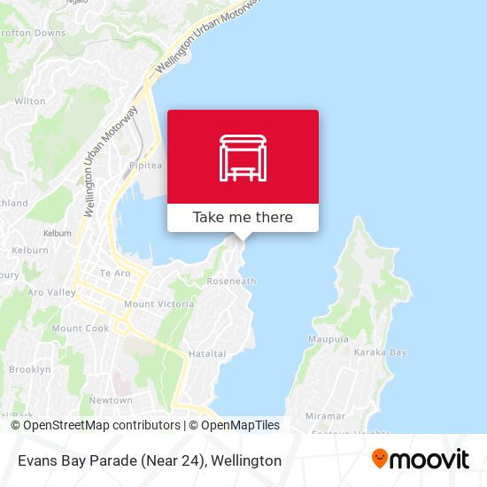 Evans Bay Parade (Near 24) map