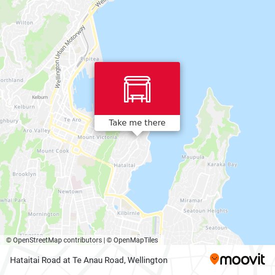 Hataitai Road at Te Anau Road map