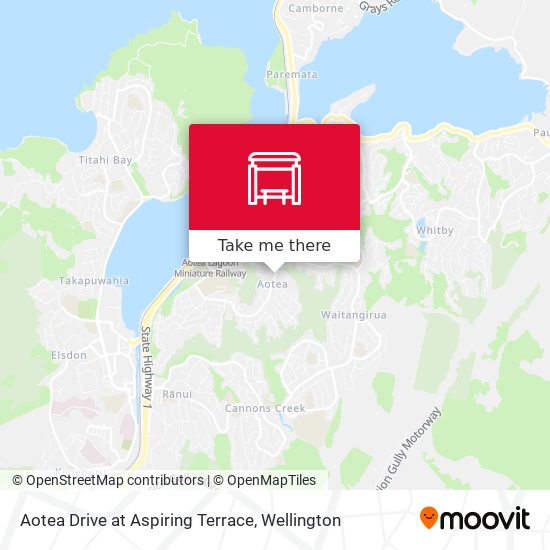Aotea Drive at Aspiring Terrace地图