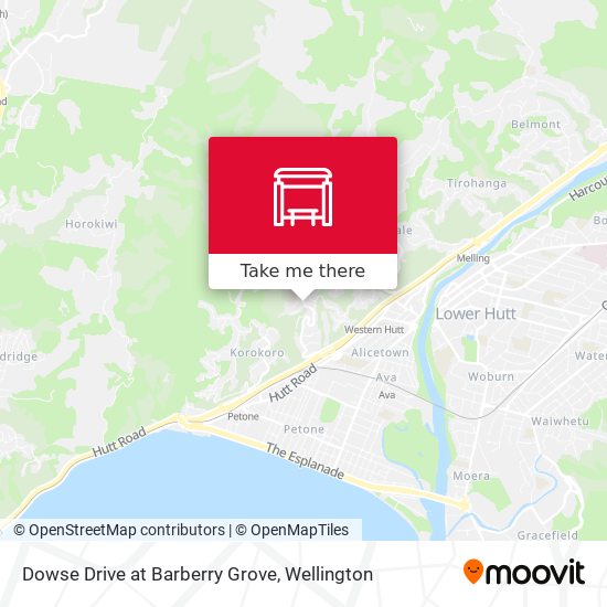 Dowse Drive at Barberry Grove map