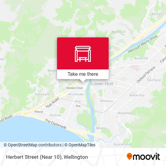 Herbert Street (Near 10) map