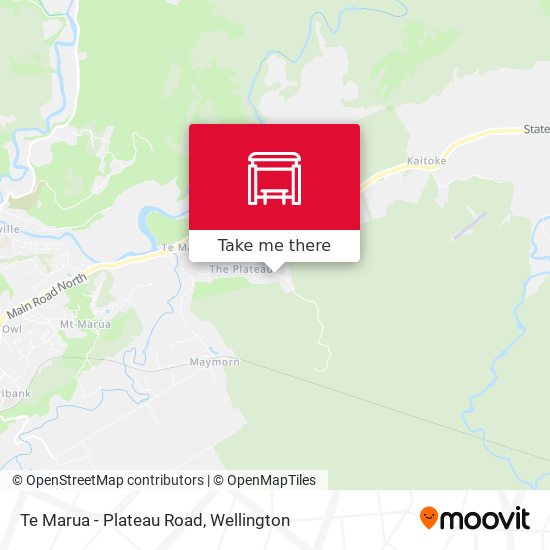 Te Marua - Plateau Road map