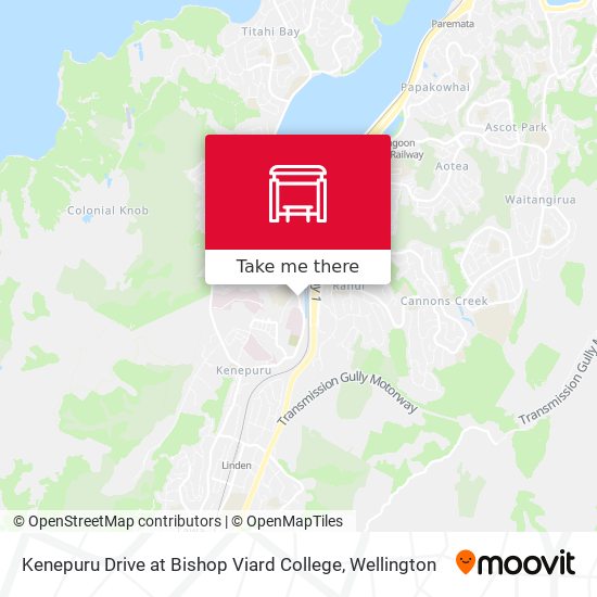 Kenepuru Drive at Bishop Viard College map