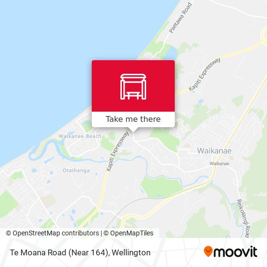 Te Moana Road (Near 164) map