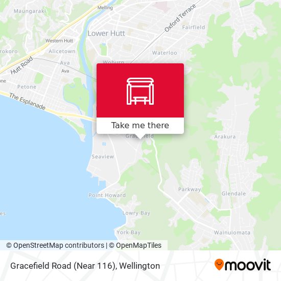 Gracefield Road (Near 116) map