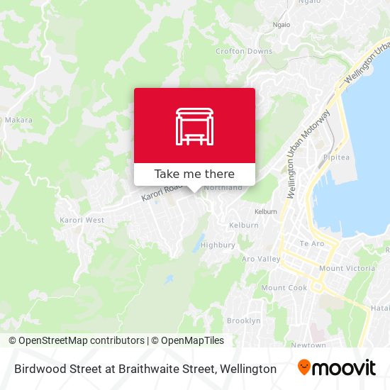 Birdwood Street at Braithwaite Street map