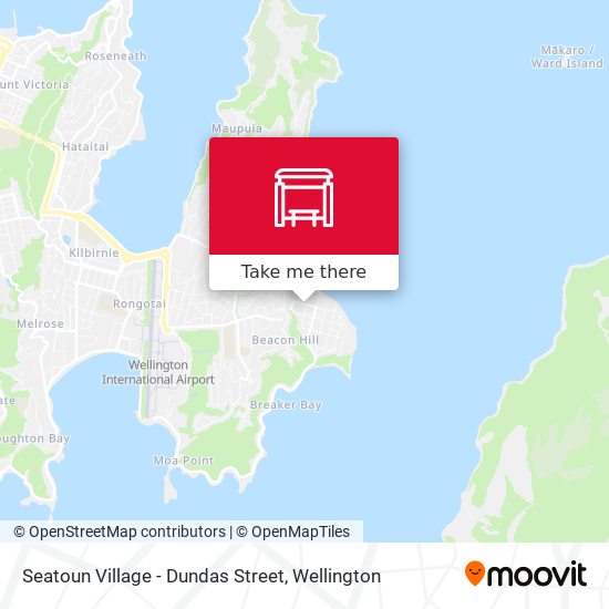 Seatoun Village - Dundas Street地图