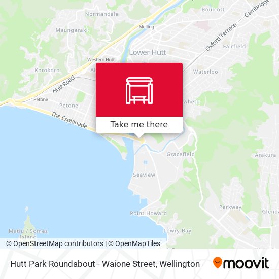 Hutt Park Roundabout - Waione Street地图