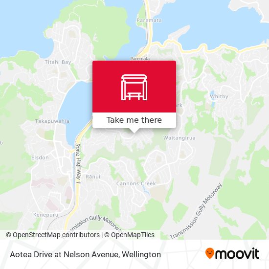 Aotea Drive at Nelson Avenue地图