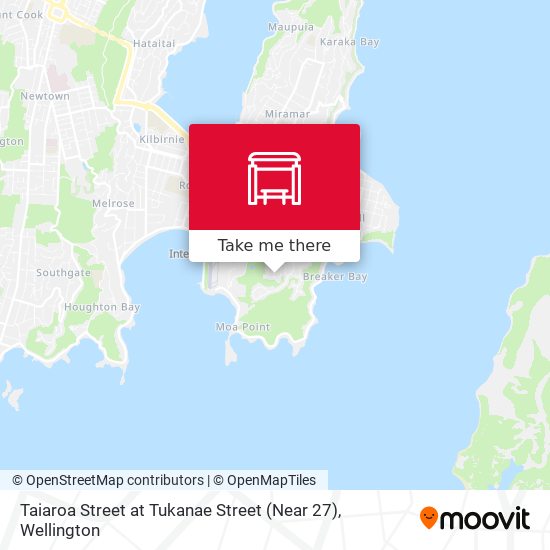 Taiaroa Street at Tukanae Street (Near 27) map