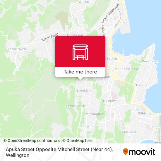 Apuka Street Opposite Mitchell Street (Near 44) map