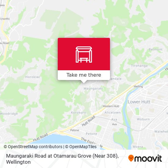 Maungaraki Road at Otamarau Grove (Near 308) map