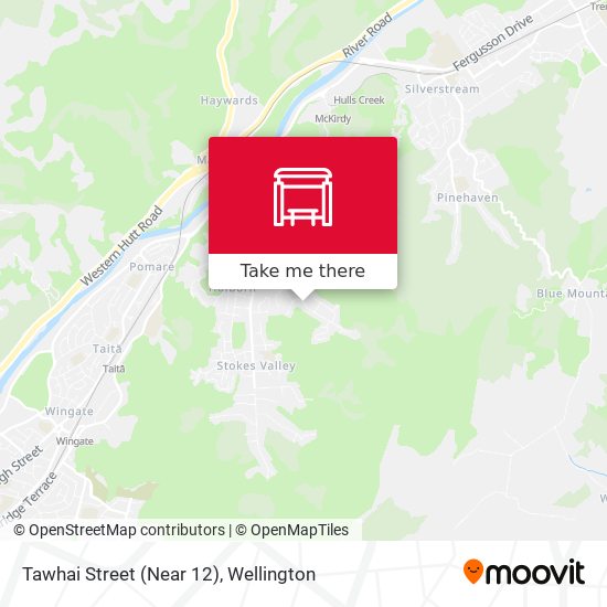 Tawhai Street (Near 12) map