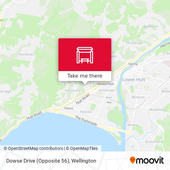 Dowse Drive (Opposite 56) map