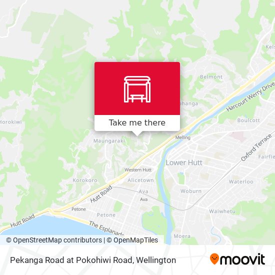 Pekanga Road at Pokohiwi Road map