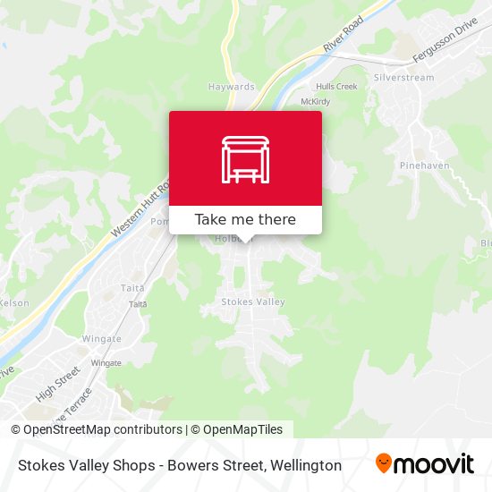 Stokes Valley Shops - Bowers Street map