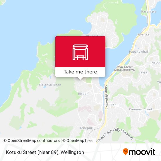 Kotuku Street (Near 89) map