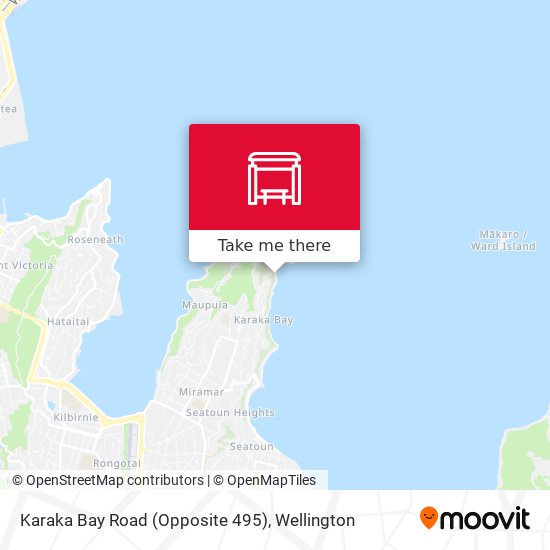 Karaka Bay Road (Opposite 495) map