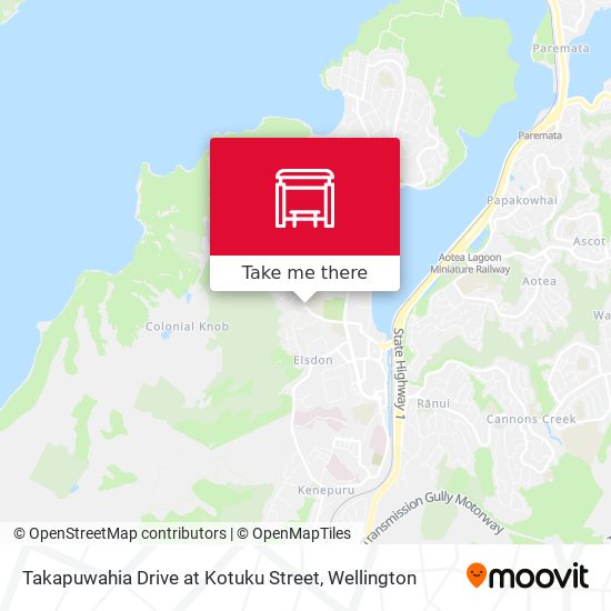 Takapuwahia Drive at Kotuku Street map