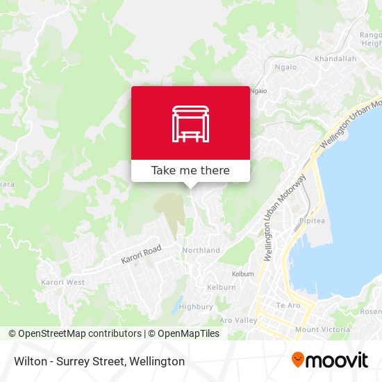 Wilton - Surrey Street map