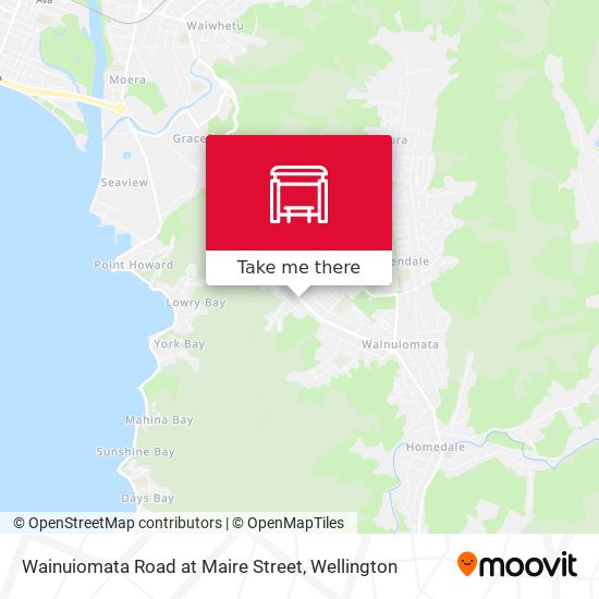 Wainuiomata Road at Maire Street地图