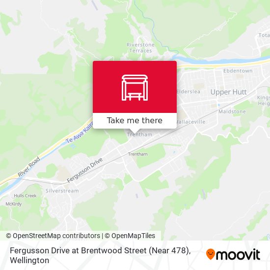 Fergusson Drive at Brentwood Street (Near 478)地图