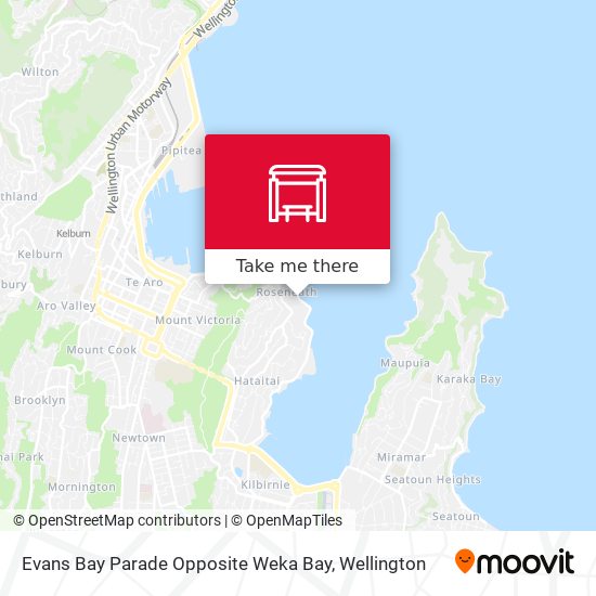 Evans Bay Parade Opposite Weka Bay map