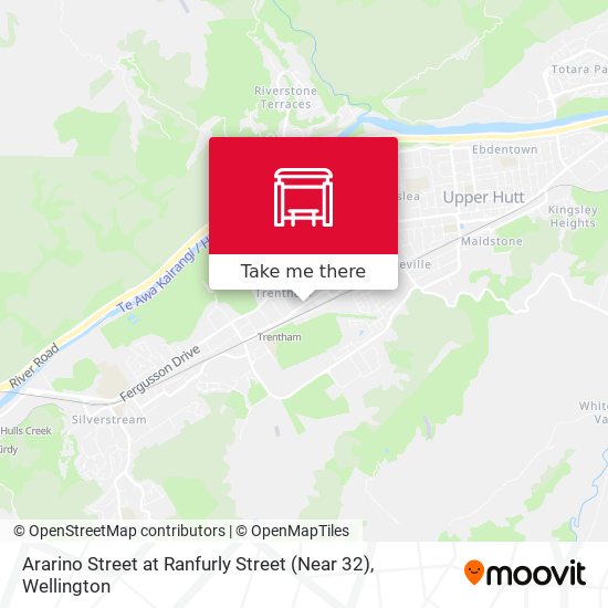 Ararino Street at Ranfurly Street (Near 32) map