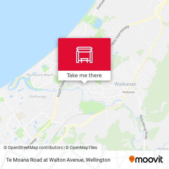 Te Moana Road at Walton Avenue地图