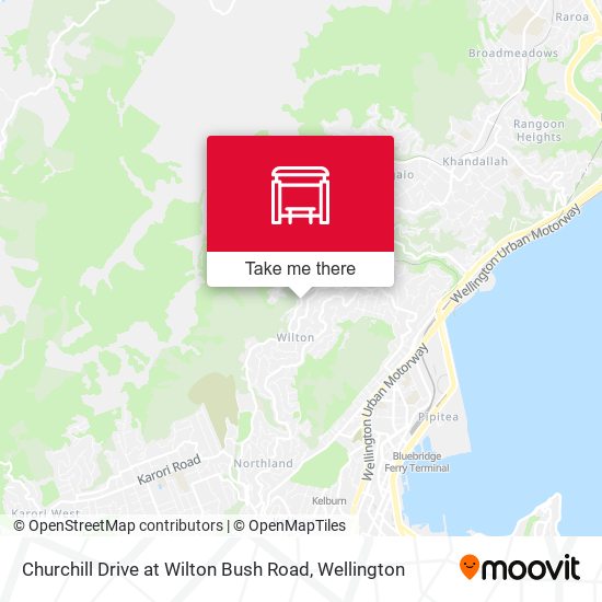 Churchill Drive at Wilton Bush Road map