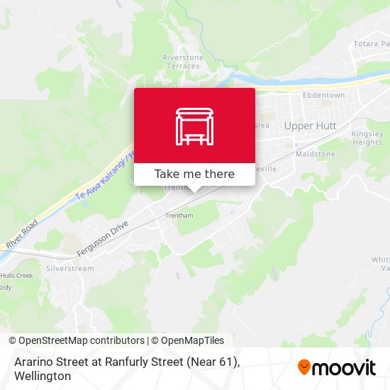 Ararino Street at Ranfurly Street (Near 61) map