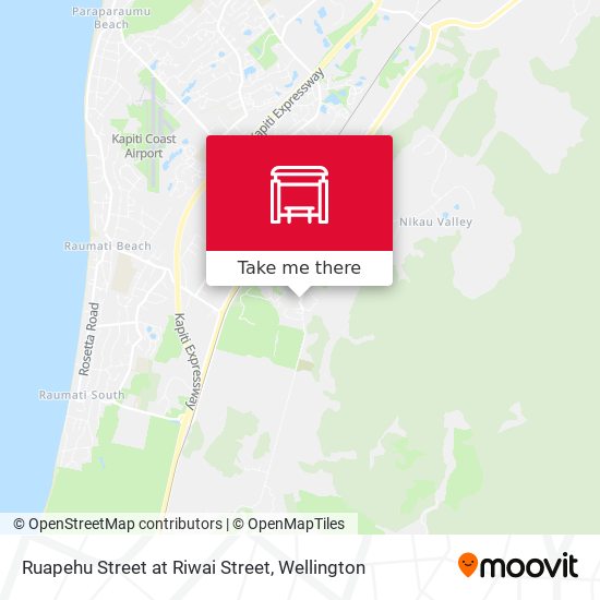 Ruapehu Street at Riwai Street地图