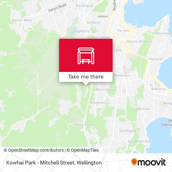 Kowhai Park - Mitchell Street map