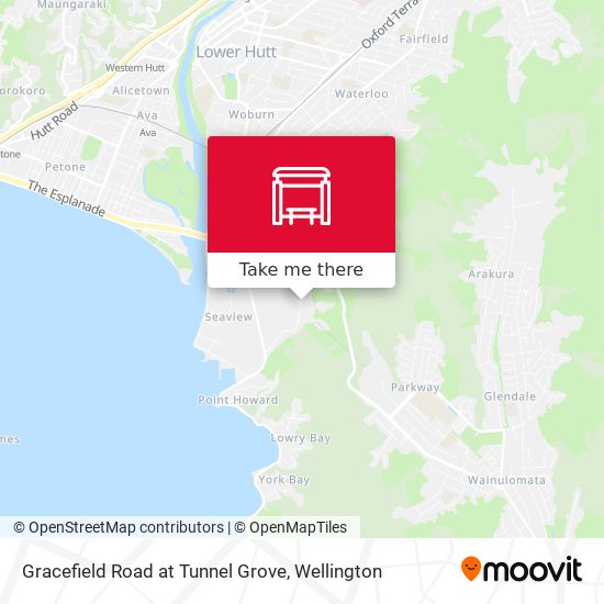 Gracefield Road at Tunnel Grove map