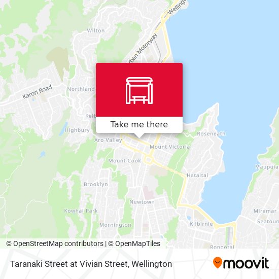 Taranaki Street at Vivian Street map