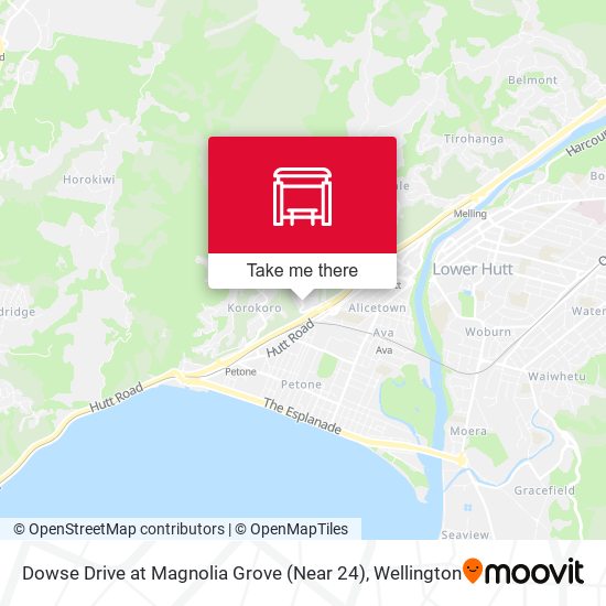 Dowse Drive at Magnolia Grove (Near 24) map