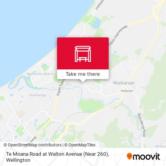 Te Moana Road at Walton Avenue (Near 260)地图