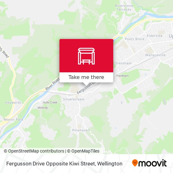 Fergusson Drive Opposite Kiwi Street map
