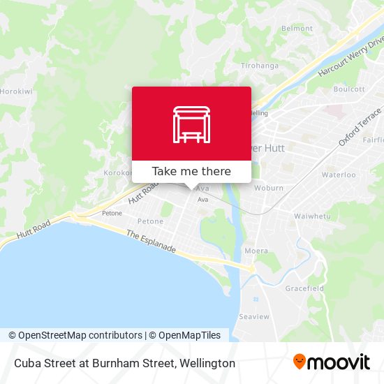 Cuba Street at Burnham Street map