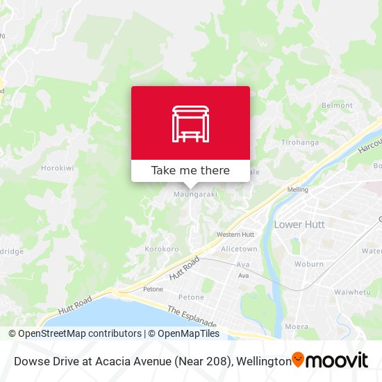 Dowse Drive at Acacia Avenue (Near 208) map