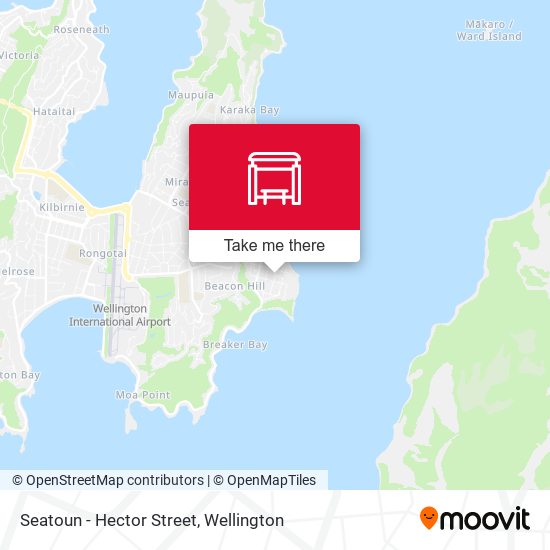 Seatoun - Hector Street map