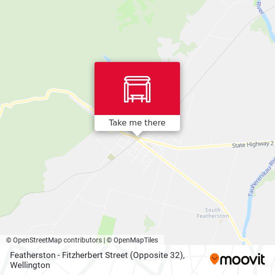 Featherston - Fitzherbert Street (Opposite 32) map